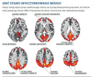 SIEĆ STANU SPOCZYNKOWEGO MÓZGU