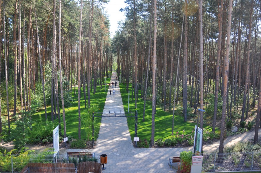 Park 10 tysięcy kroków